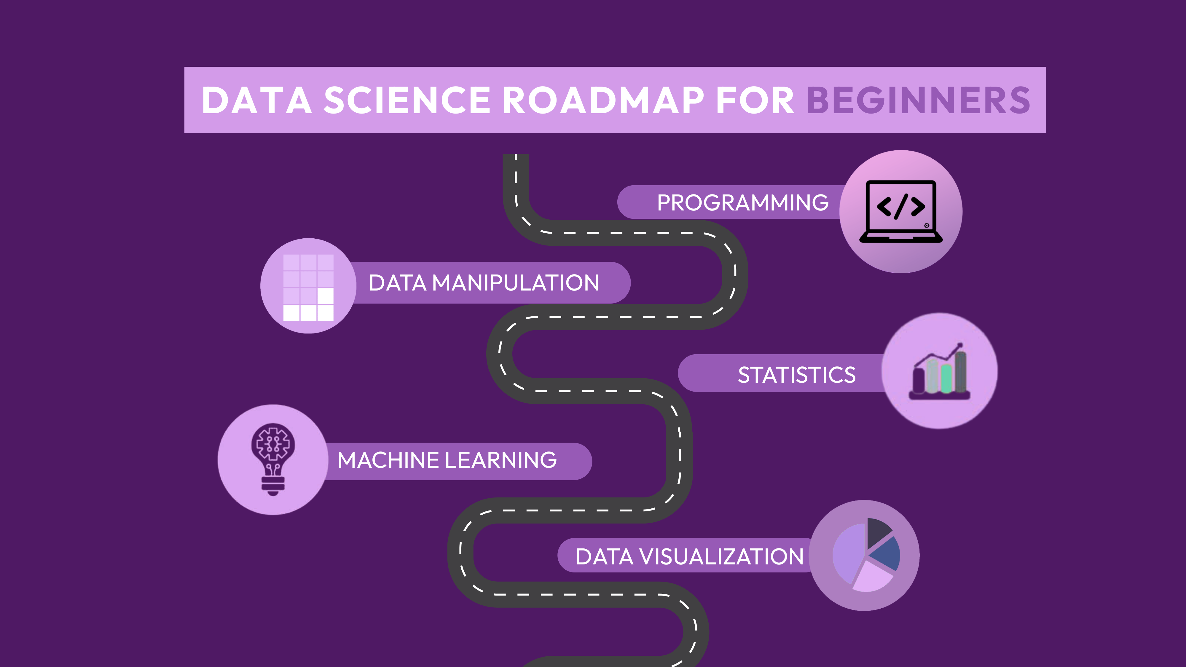 Data Science Roadmap for Beginners: Free & Paid Resources